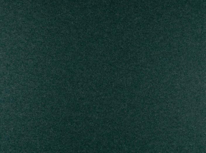 Audinys Wooly Trend 849139 Teal