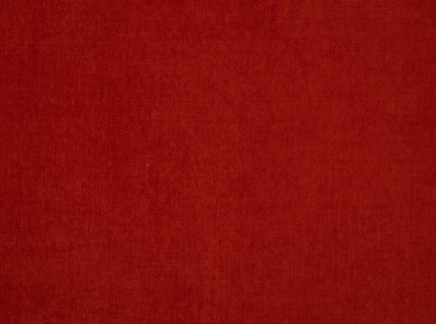 Audinys Grace 40 Tomato Audinys Grace 40 Tomato