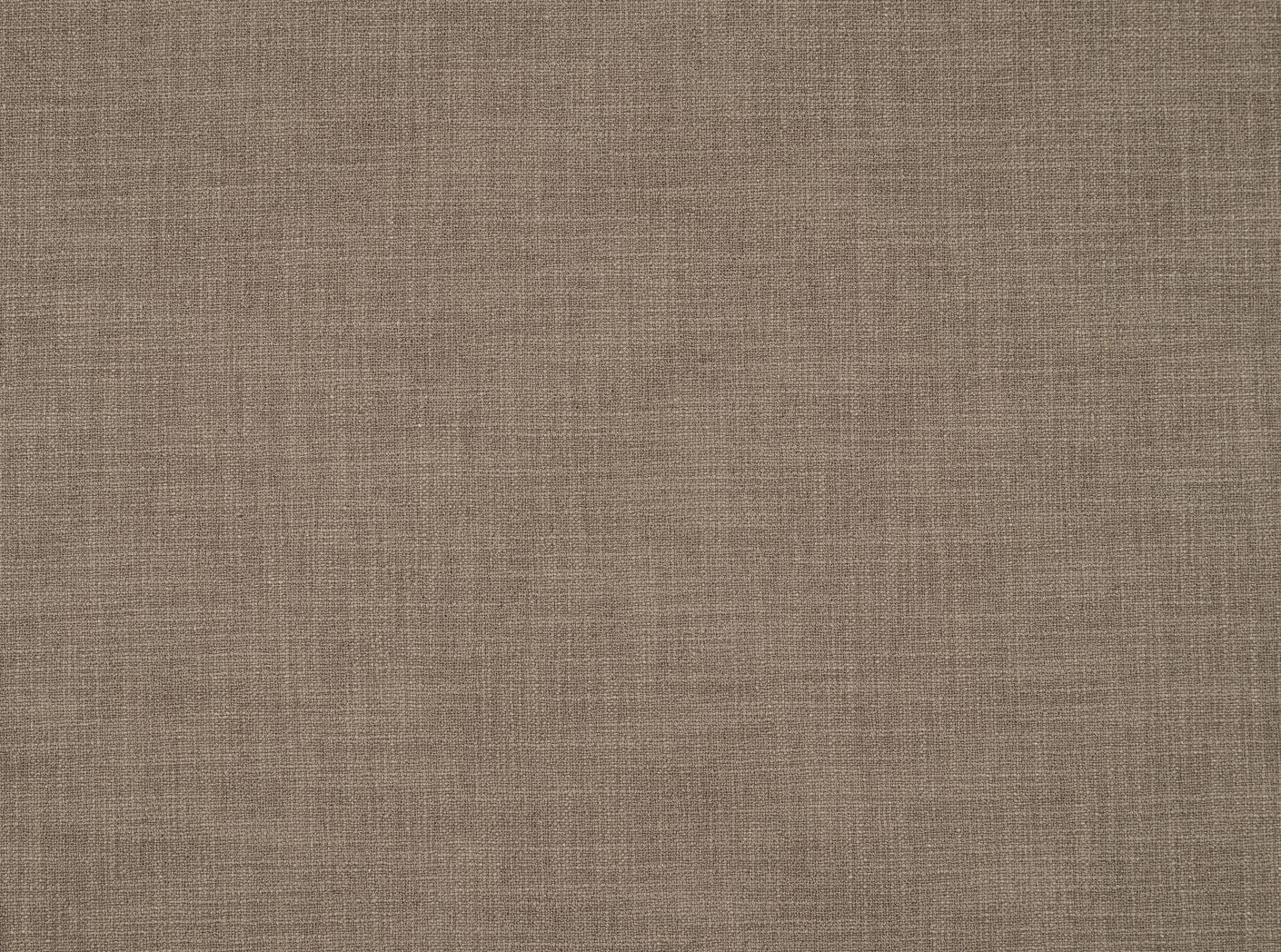 Audinys Mauro 01 Fossil Audinys Mauro 01 Fossil