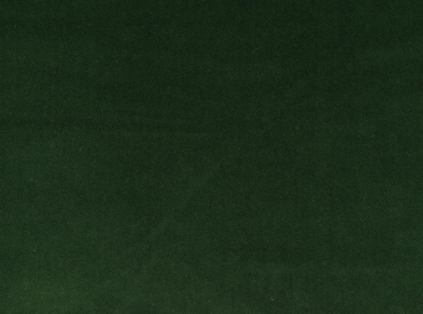 Audinys Megan Plus 73 Bonzai Audinys Megan Plus 73 Bonzai