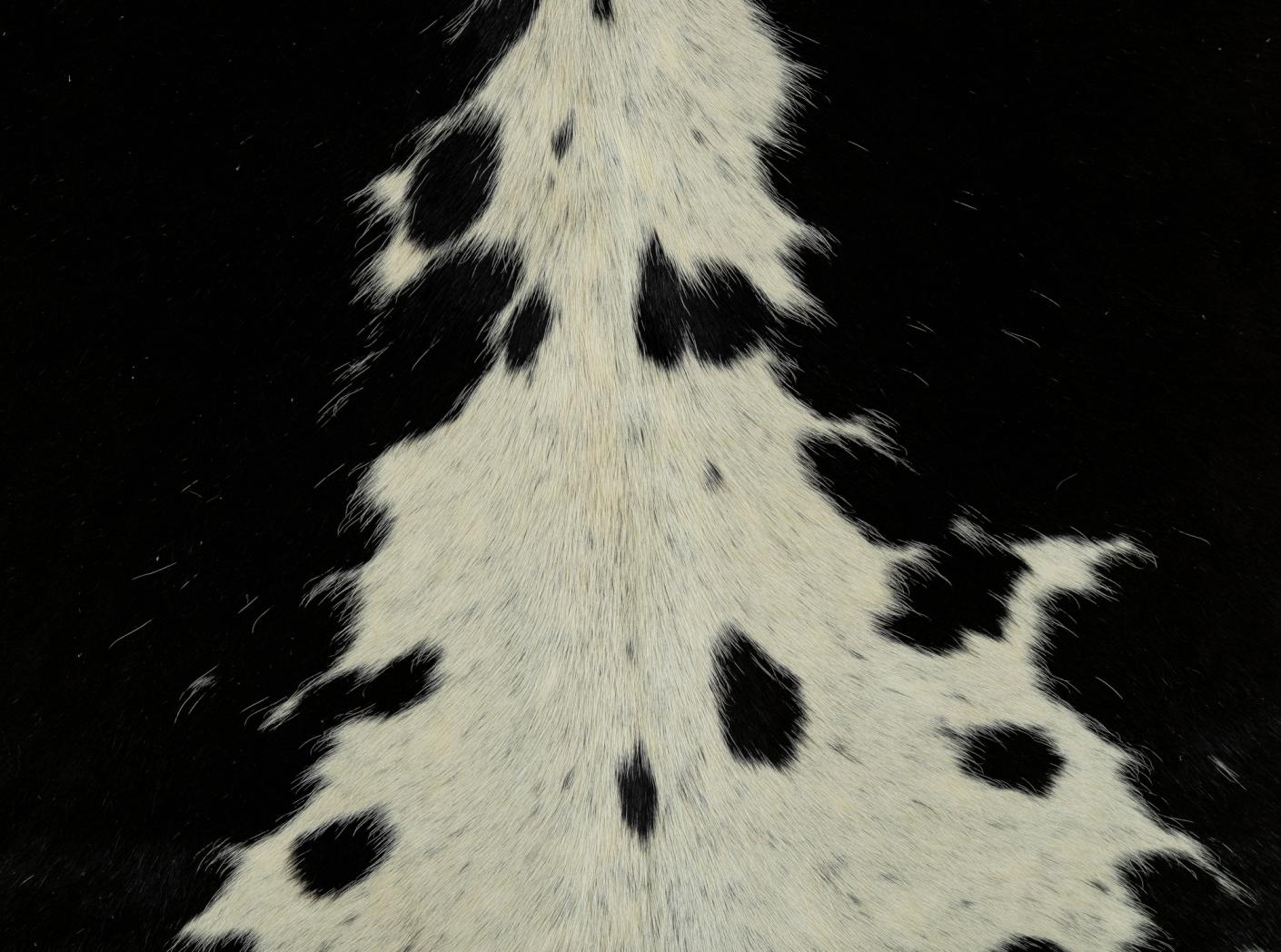 Karvės kailis, apie 3,7 m2/vnt, Black/White Karvės kailis, apie 3,7 m2/vnt, Black/White