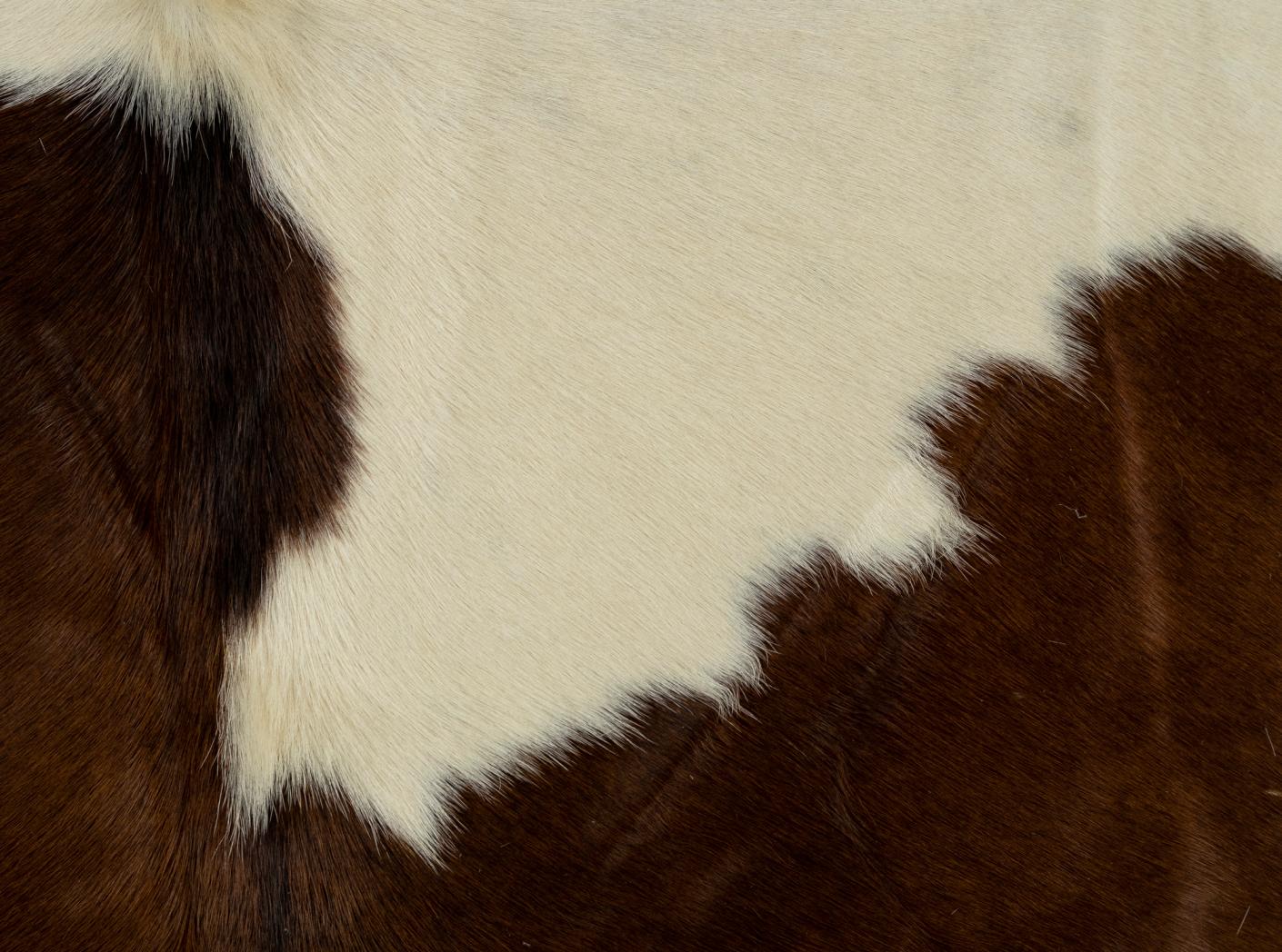 Karvės kailis, apie 3,7 m2/vnt, Brown/White Karvės kailis, apie 3,7 m2/vnt, Brown/White