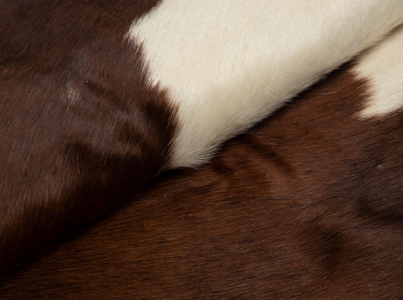 Karvės kailis, apie 3,7 m2/vnt, Brown/White Karvės kailis, apie 3,7 m2/vnt, Brown/White