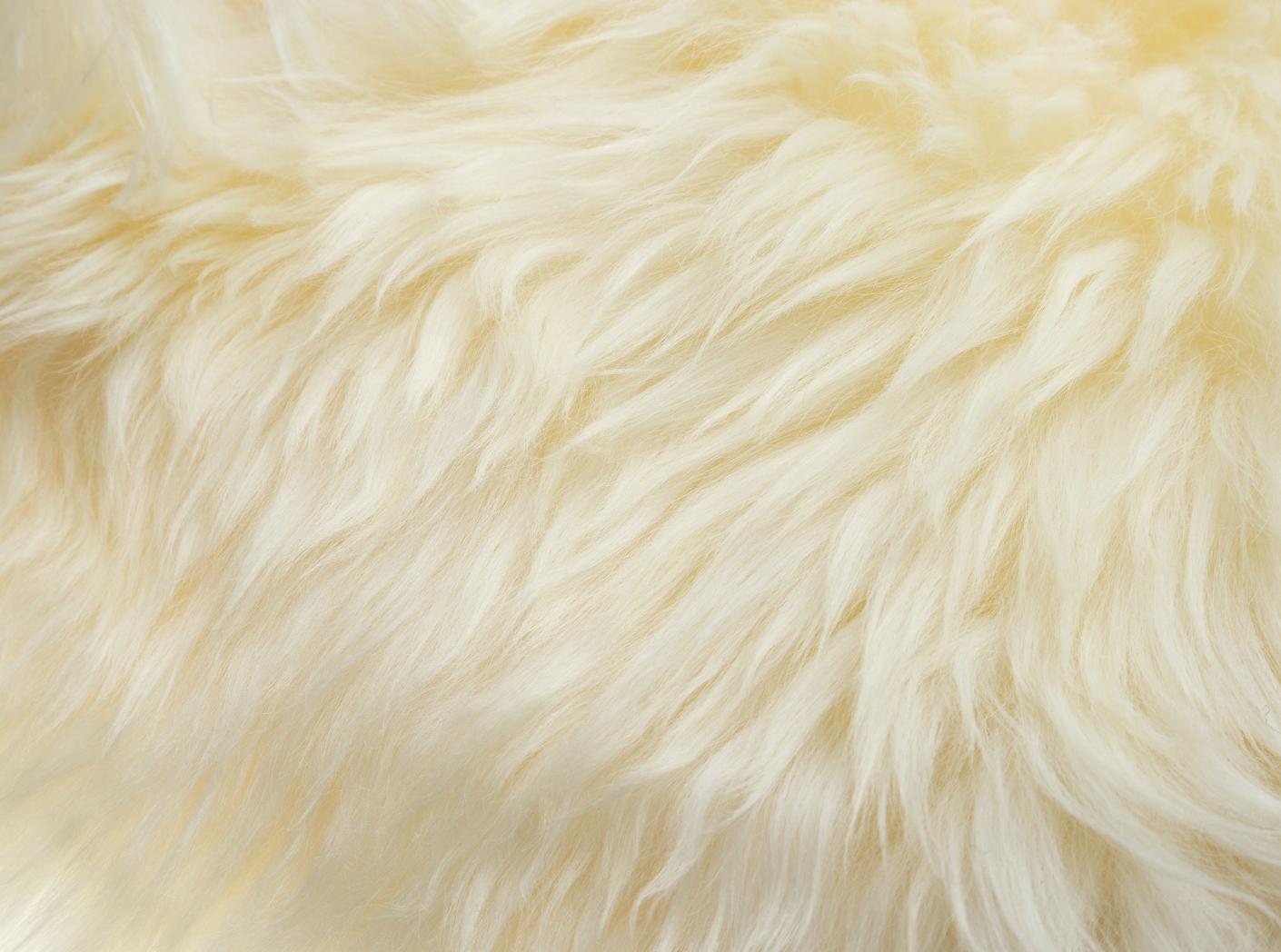 Ėriuko kailis, apie 0,7 m2/vnt, White Ėriuko kailis, apie 0,7 m2/vnt, White