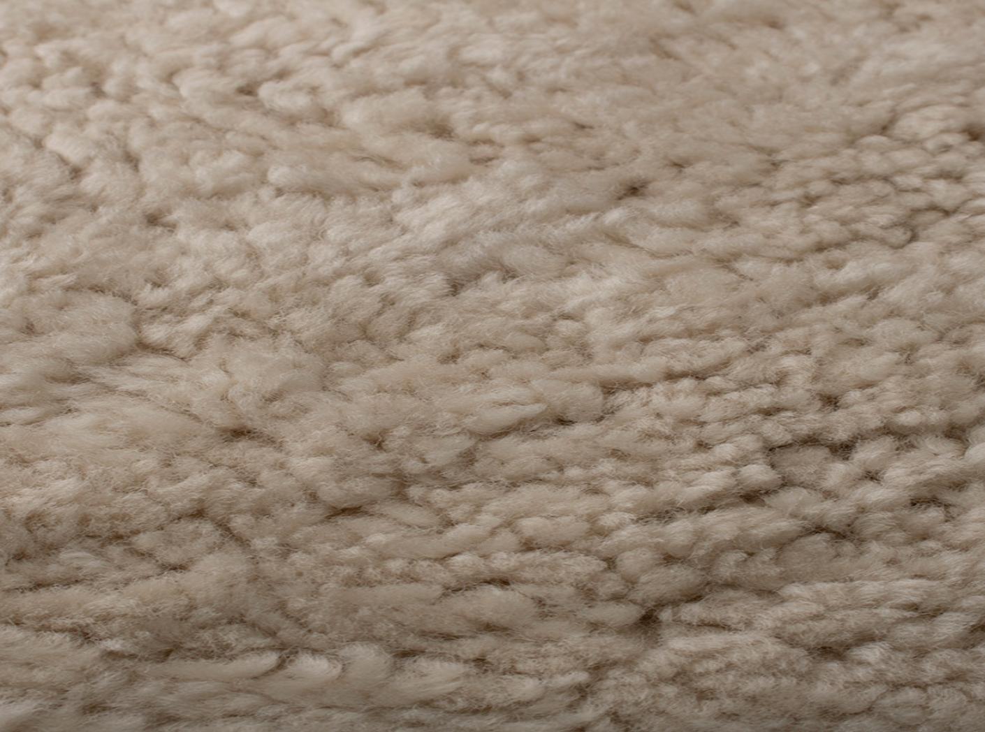 Avikailis Canberra Moonlight Avikailis Canberra Moonlight