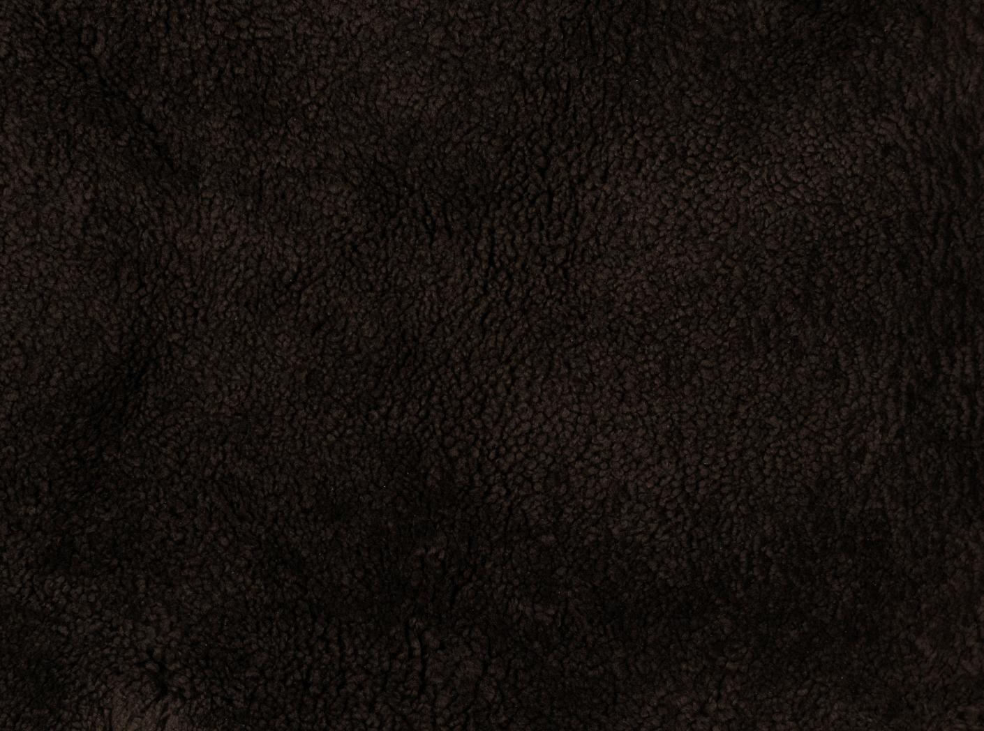 Avikailis Canberra Brown Avikailis Canberra Brown