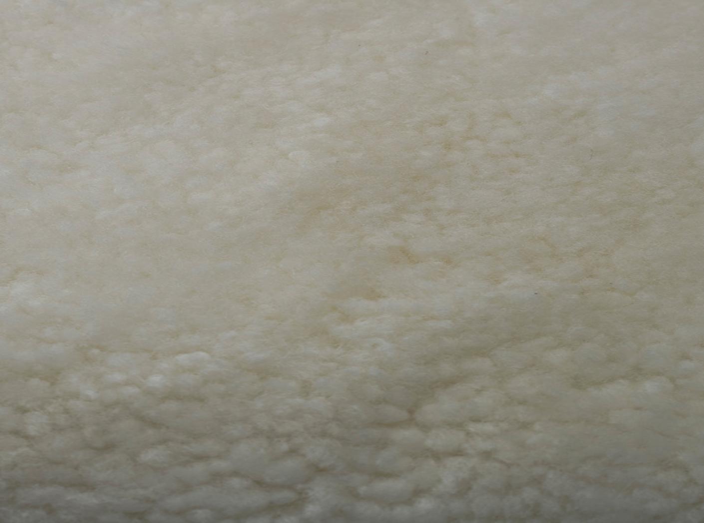 Avikailis Canberra White Avikailis Canberra White