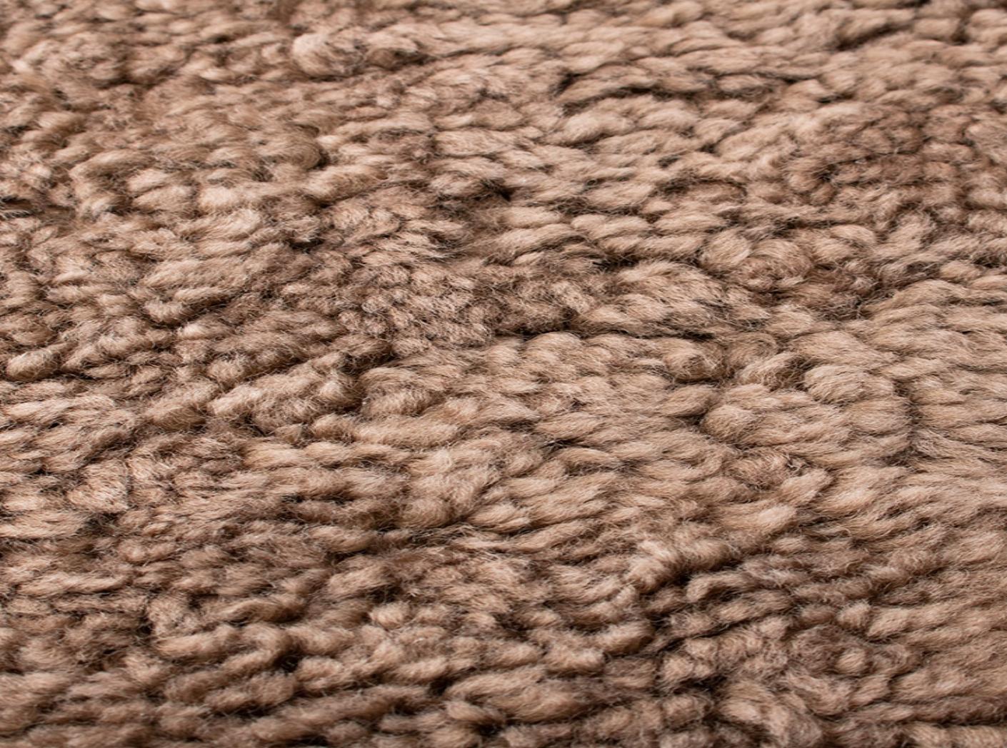 Avikailis Canberra Sahara Avikailis Canberra Sahara