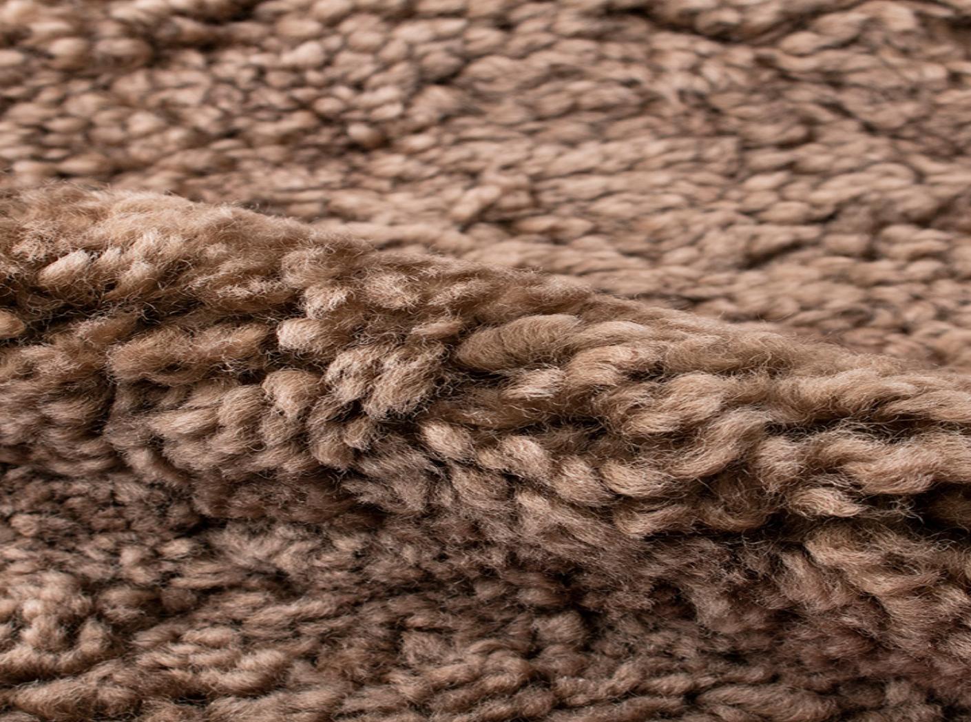 Avikailis Canberra Sahara Avikailis Canberra Sahara