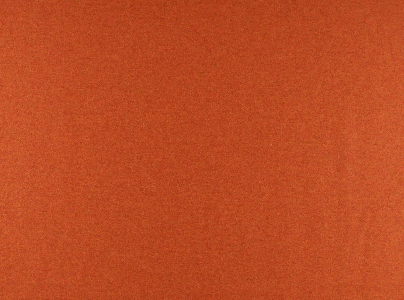 Audinys Wooly 2012 B Terra Audinys Wooly 2012 B Terra