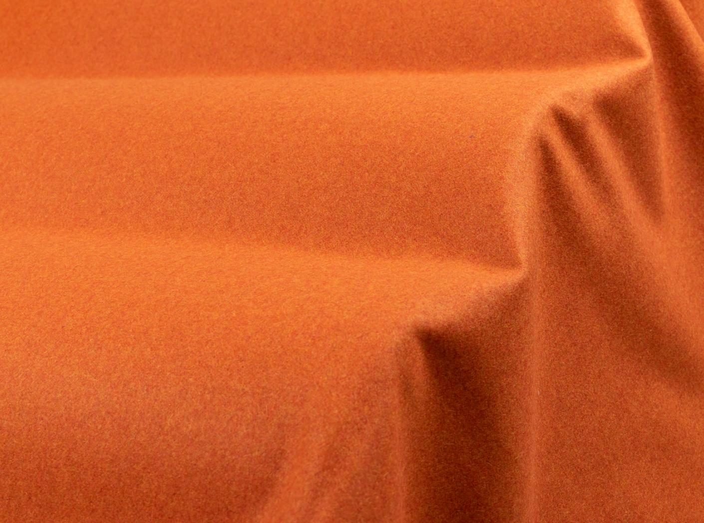 Audinys Wooly 2012 B Terra Audinys Wooly 2012 B Terra