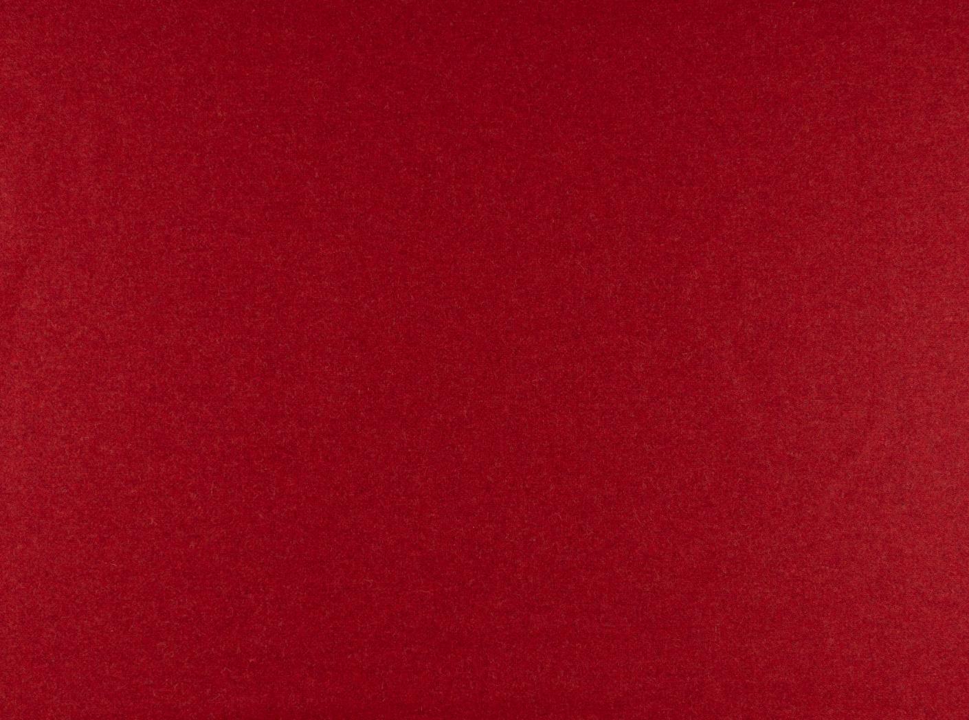 Audinys Wooly 2011 Tulip Audinys Wooly 2011 Tulip