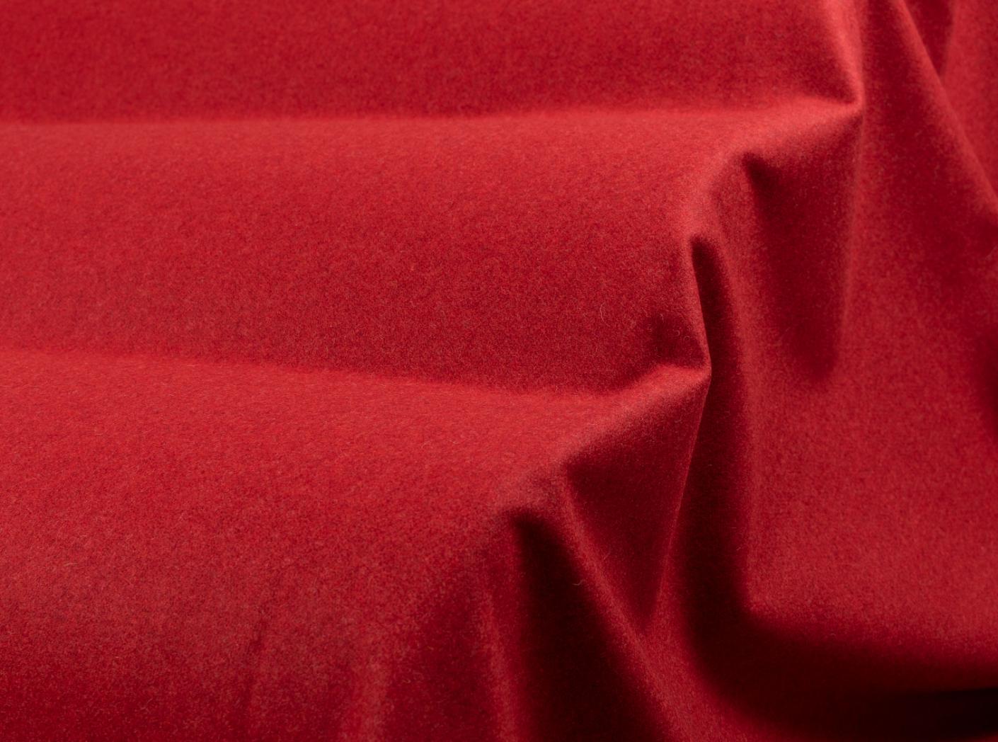 Audinys Wooly 2011 Tulip Audinys Wooly 2011 Tulip