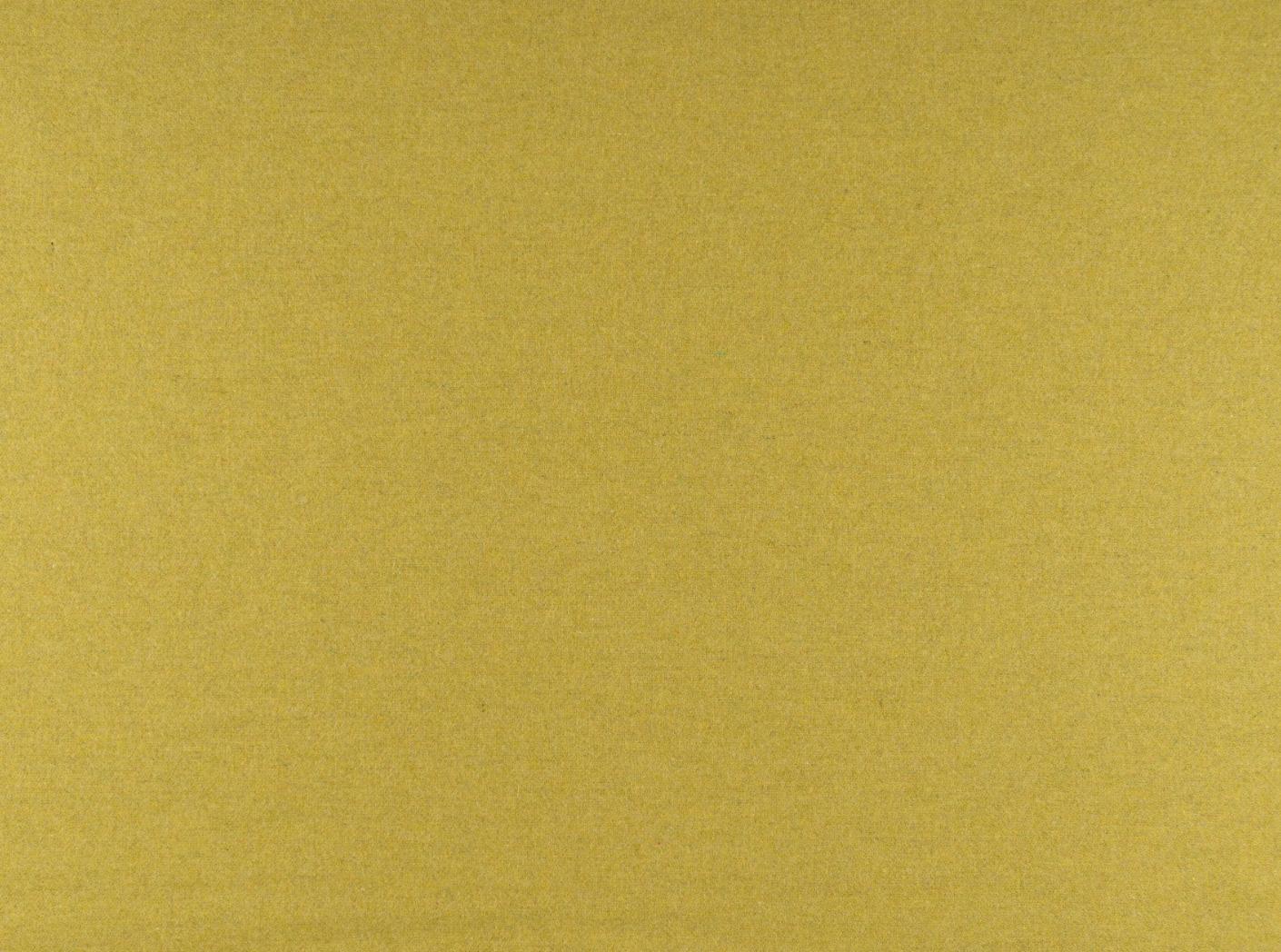 Audinys Wooly Plus 2252 Soft green Audinys Wooly Plus 2252 Soft green