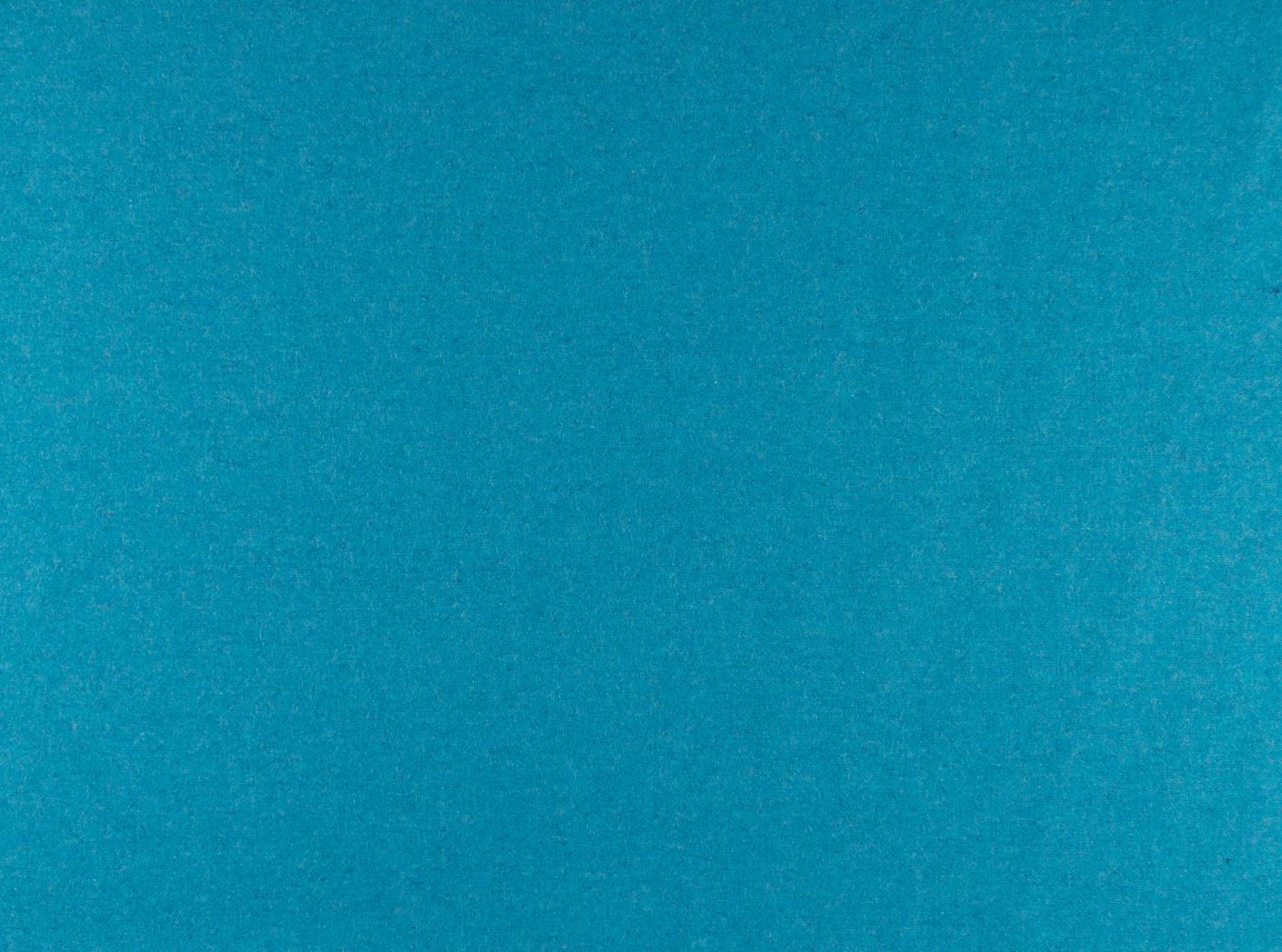 Audinys Wooly Plus 0106 Turquise Audinys Wooly Plus 0106 Turquise