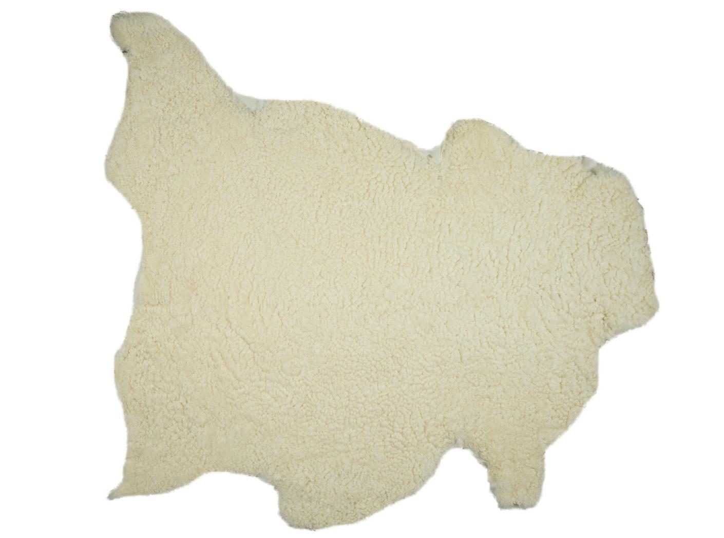 Avikailiai Avikailiai