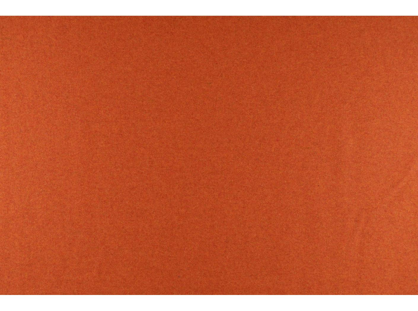 Audinys Wooly 2012 B Terra Audinys Wooly 2012 B Terra