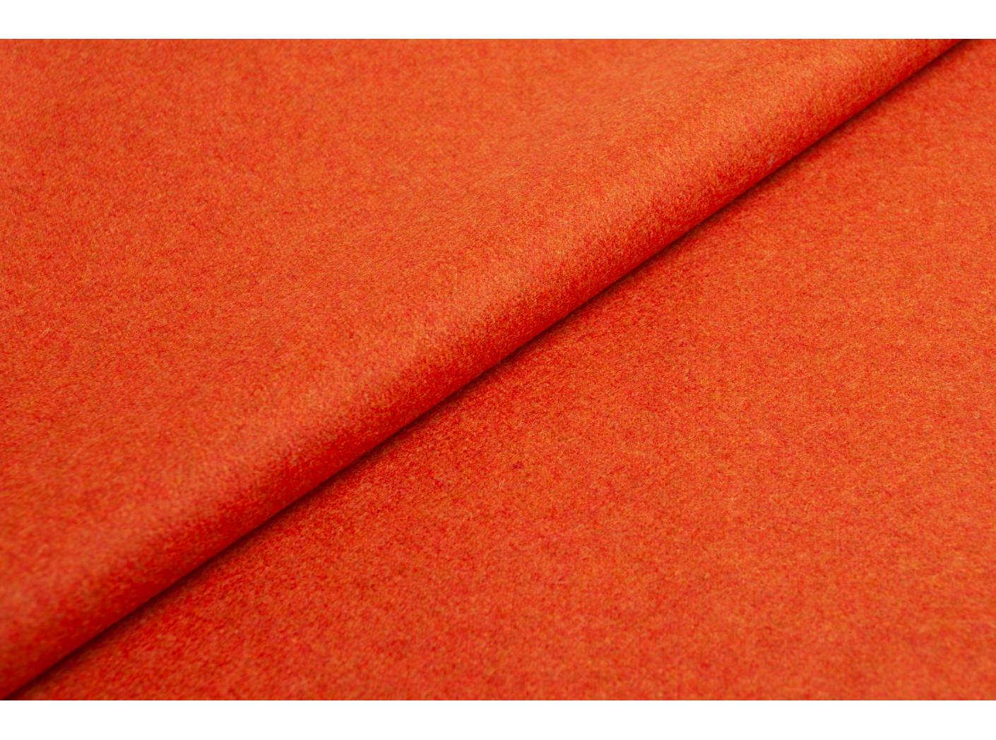 Audinys Wooly 2012 B Terra Audinys Wooly 2012 B Terra