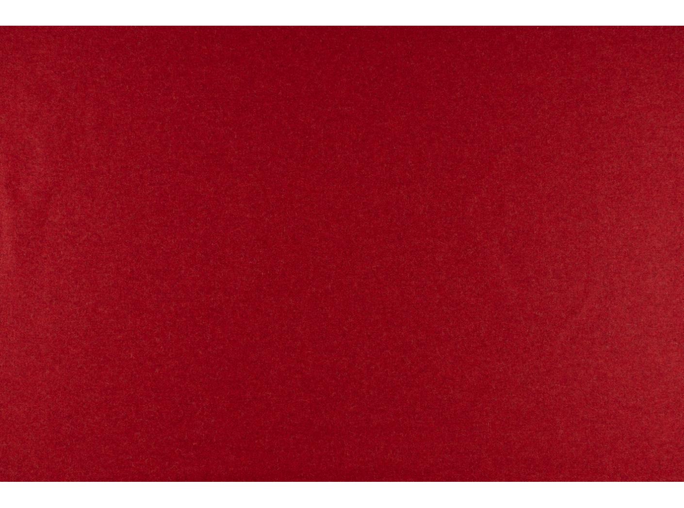 Audinys Wooly 2011 Tulip Audinys Wooly 2011 Tulip