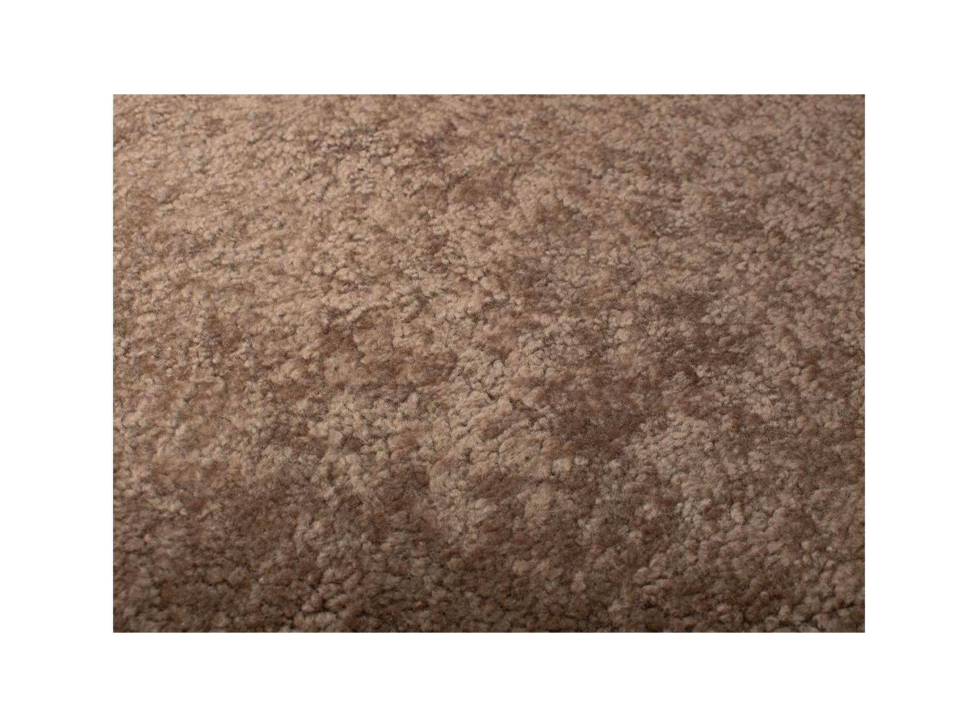 Avikailis Melbourne Sahara Avikailis Melbourne Sahara