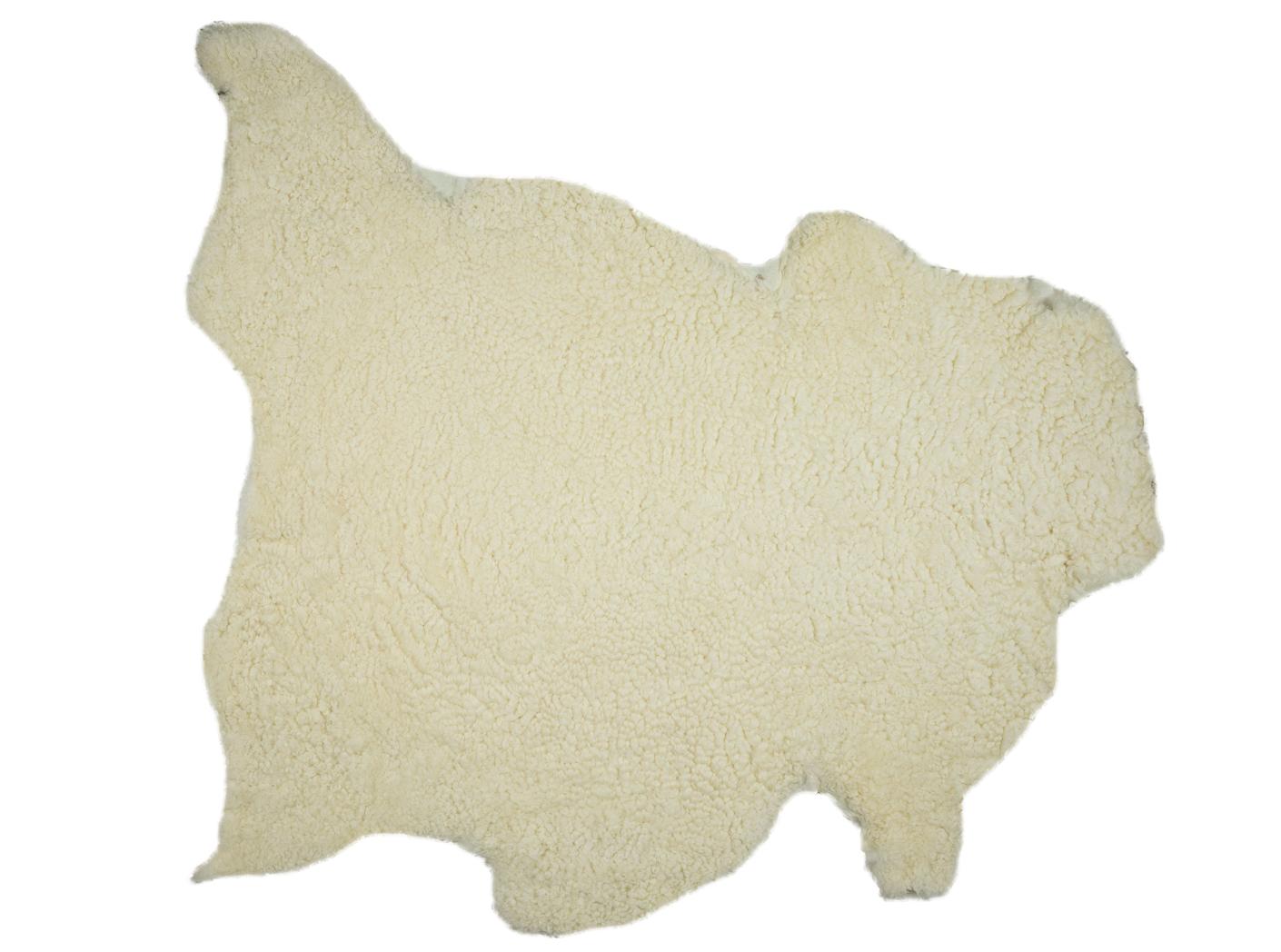 Avikailiai Avikailiai