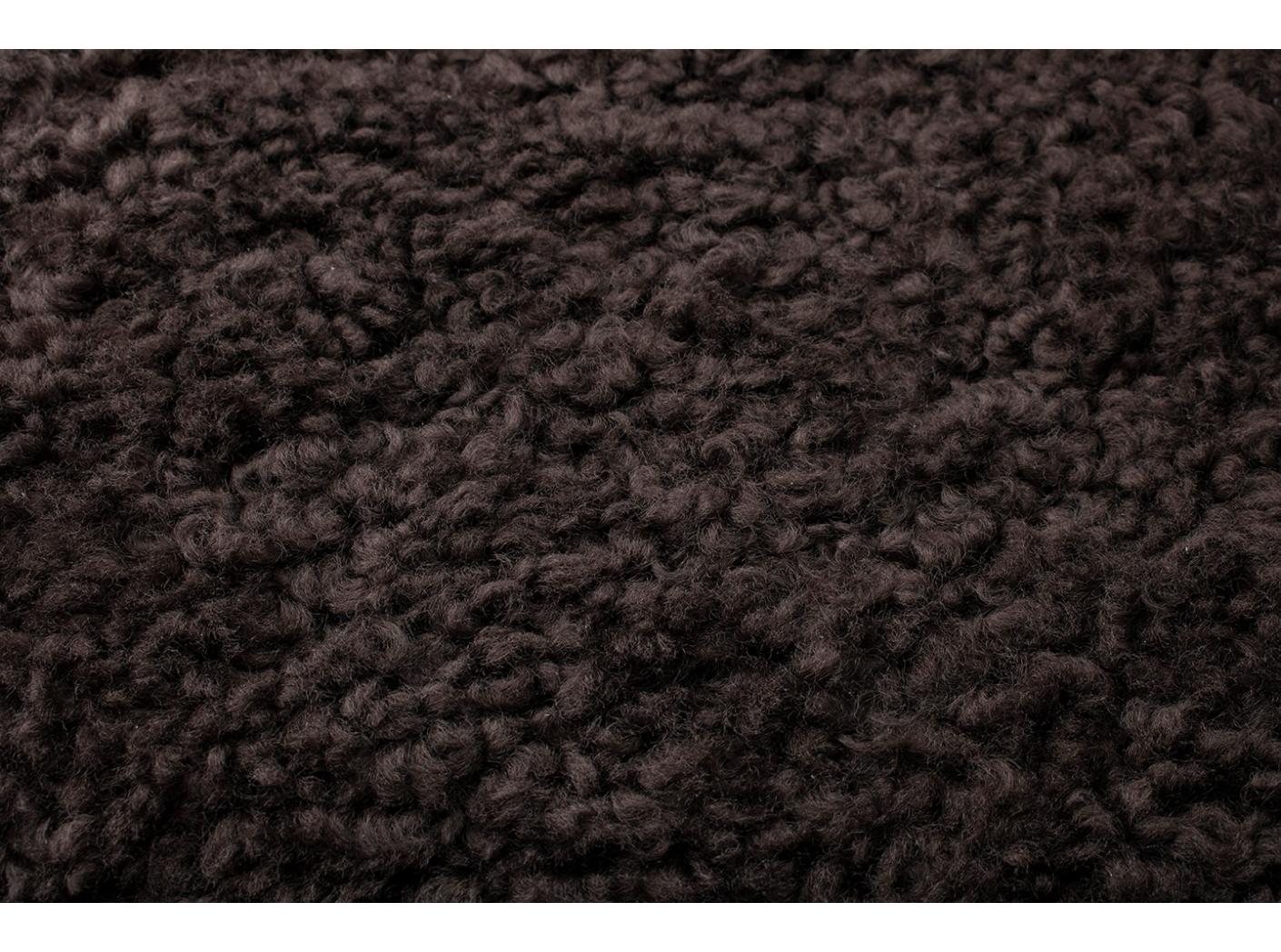 Avikailis Canberra Brown Avikailis Canberra Brown