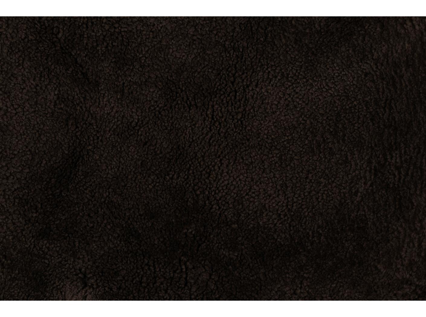 Avikailis Canberra Brown Avikailis Canberra Brown