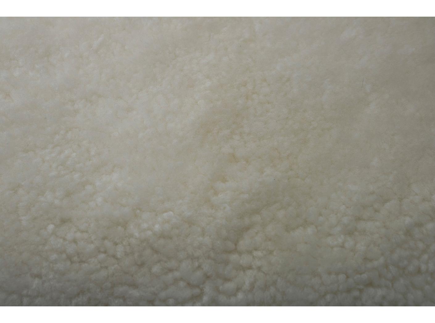 Avikailis Canberra White Avikailis Canberra White