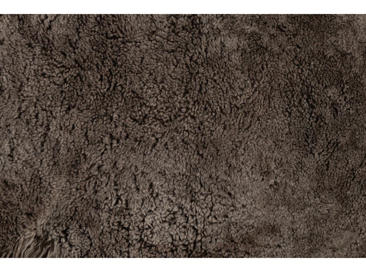 Avikailis Canberra Espresso Avikailis Canberra Espresso