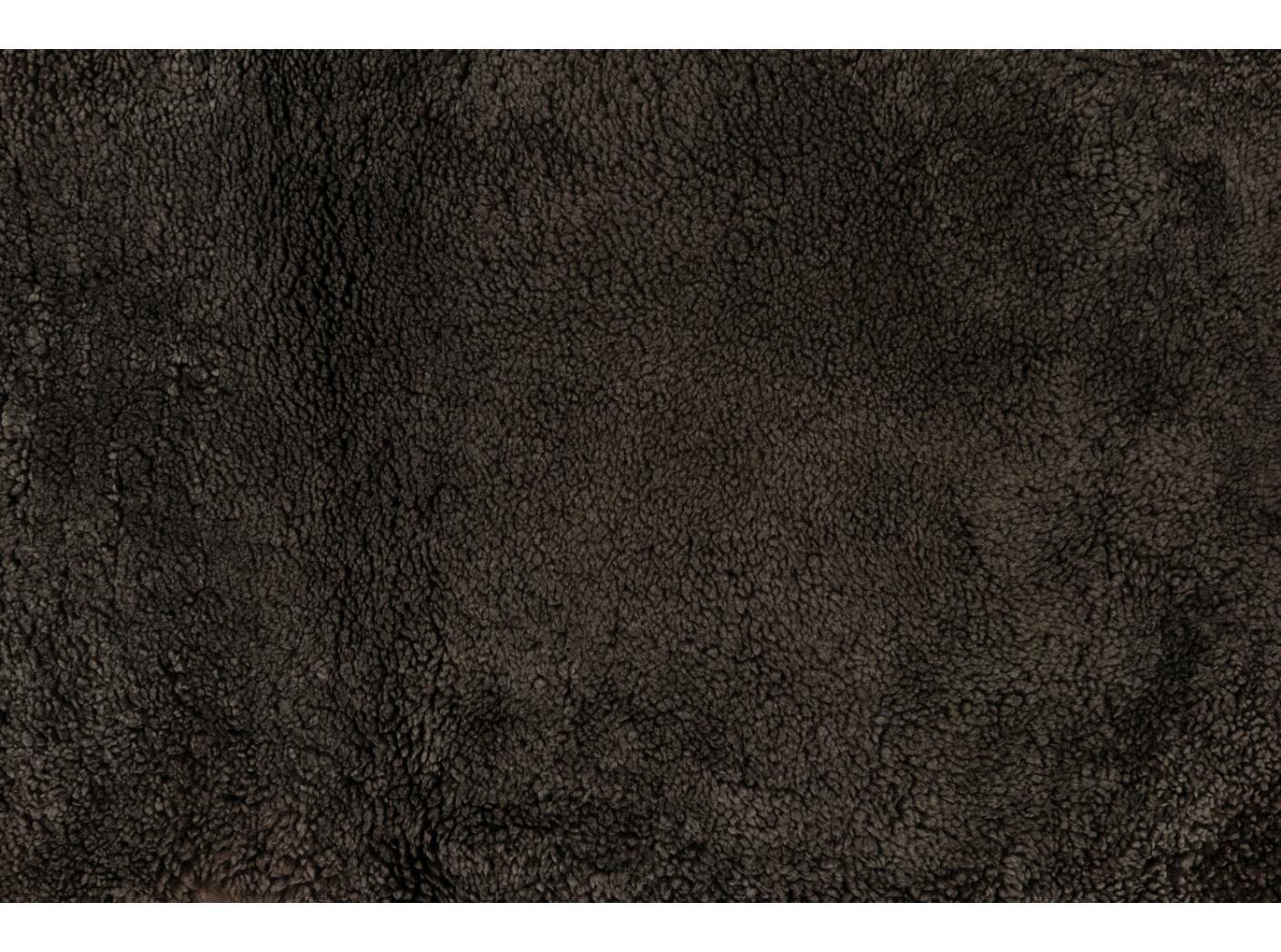 Avikailis Canberra Root Avikailis Canberra Root