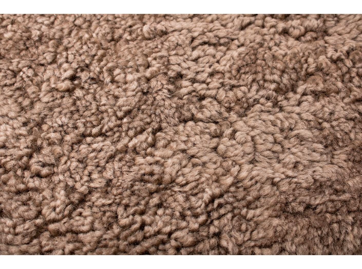 Avikailis Canberra Sahara Avikailis Canberra Sahara