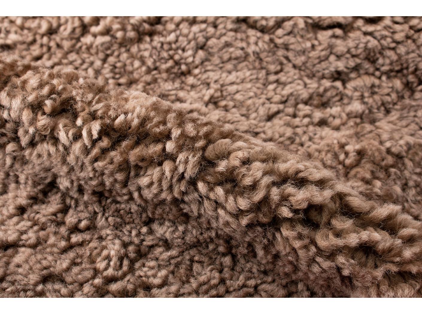 Avikailis Canberra Sahara Avikailis Canberra Sahara