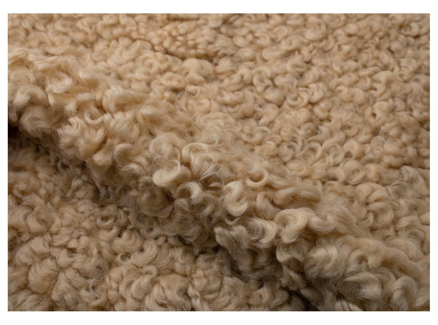 Avikailis Canberra Honey Avikailis Canberra Honey