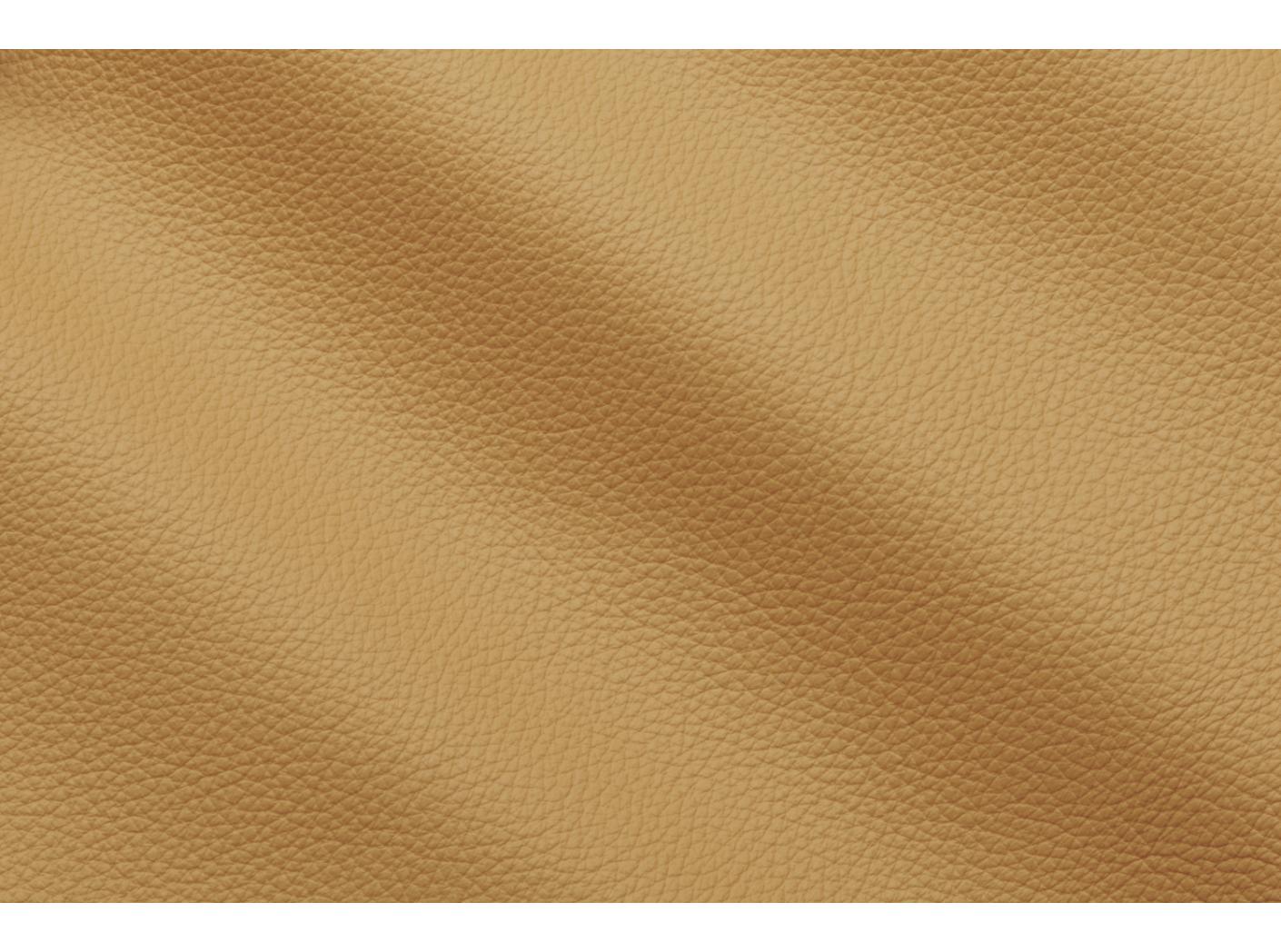 Oda Prescott 250 Pergamena Oda Prescott 250 Pergamena