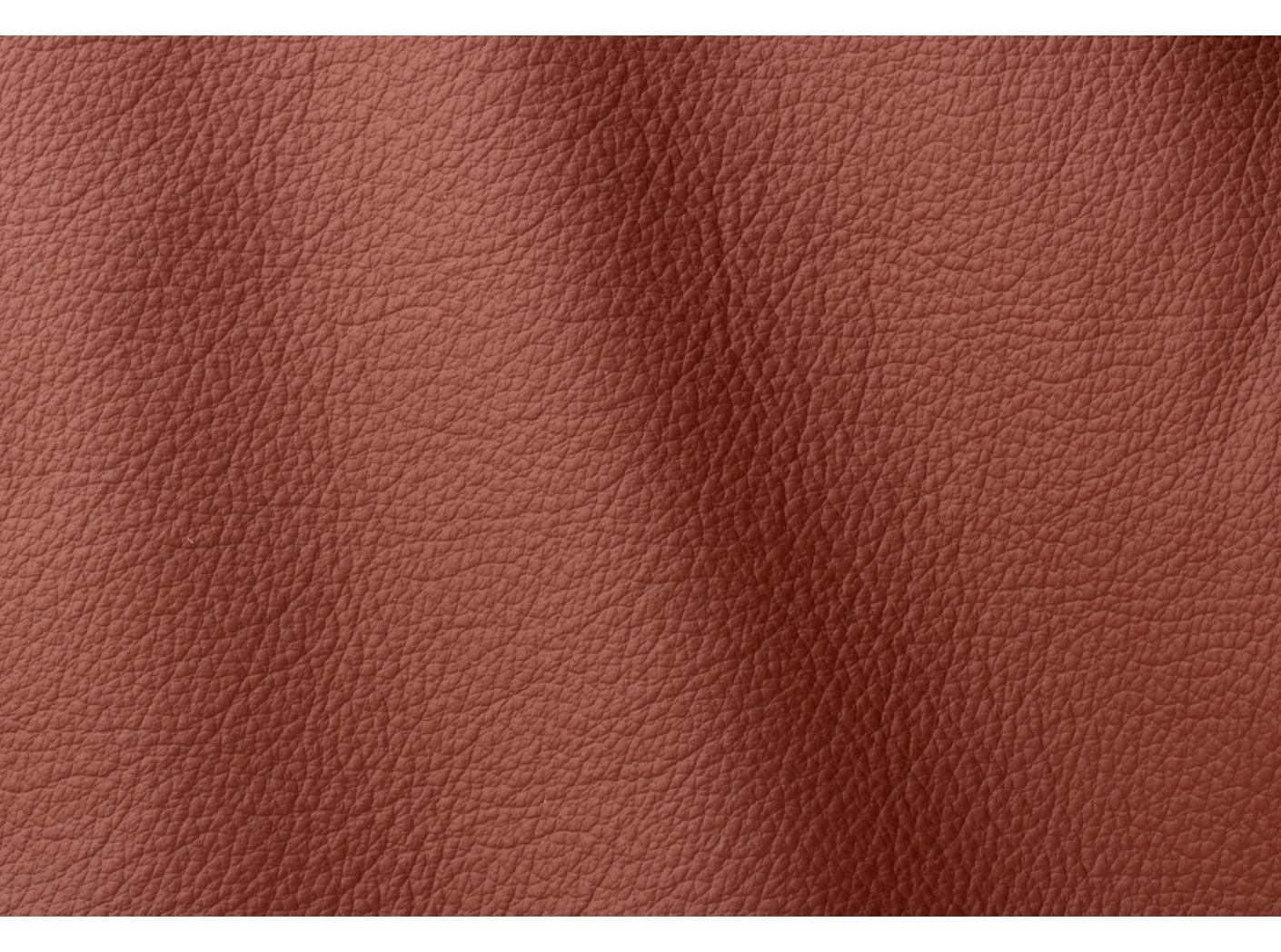 Oda Ocean 435 Allium Oda Ocean 435 Allium