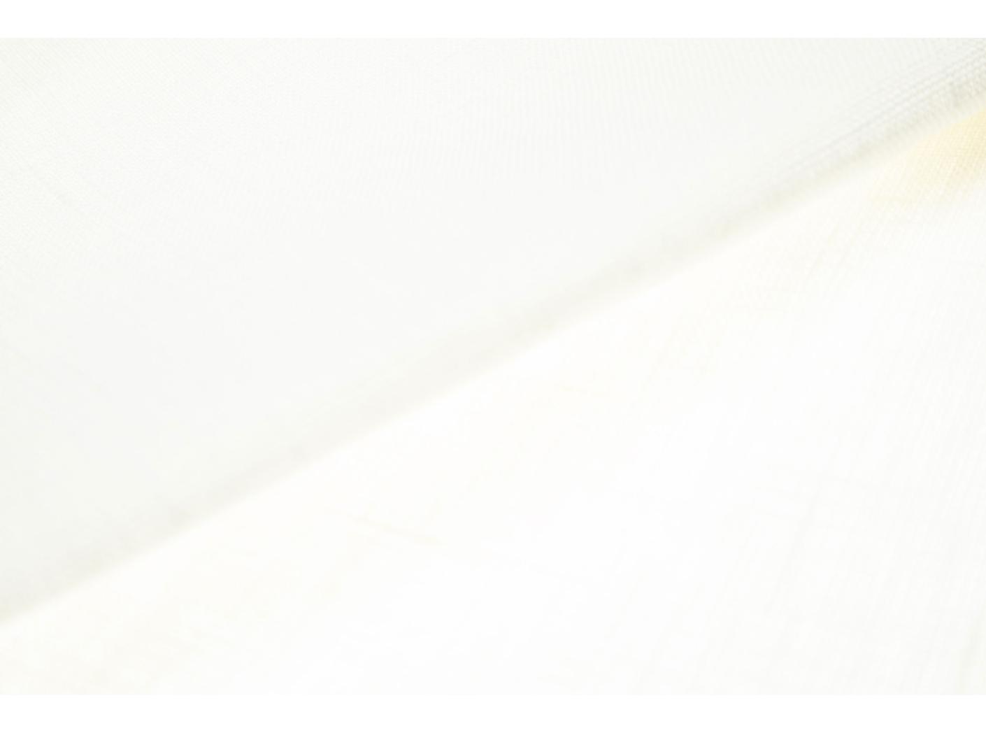 Lininis audinys, b=150 cm, 245 g/m2, baltas Lininis audinys, b=150 cm, 245 g/m2, baltas