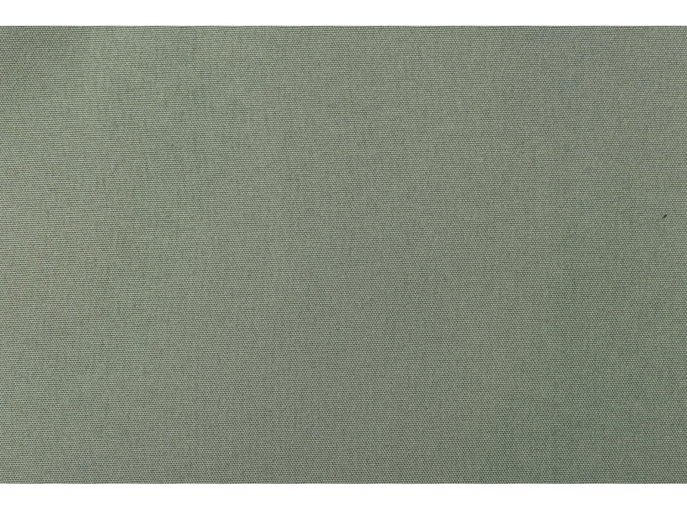 Audinys Black-out Forli FR 057 Willow, b=300 cm Audinys Black-out Forli FR 057 Willow, b=300 cm