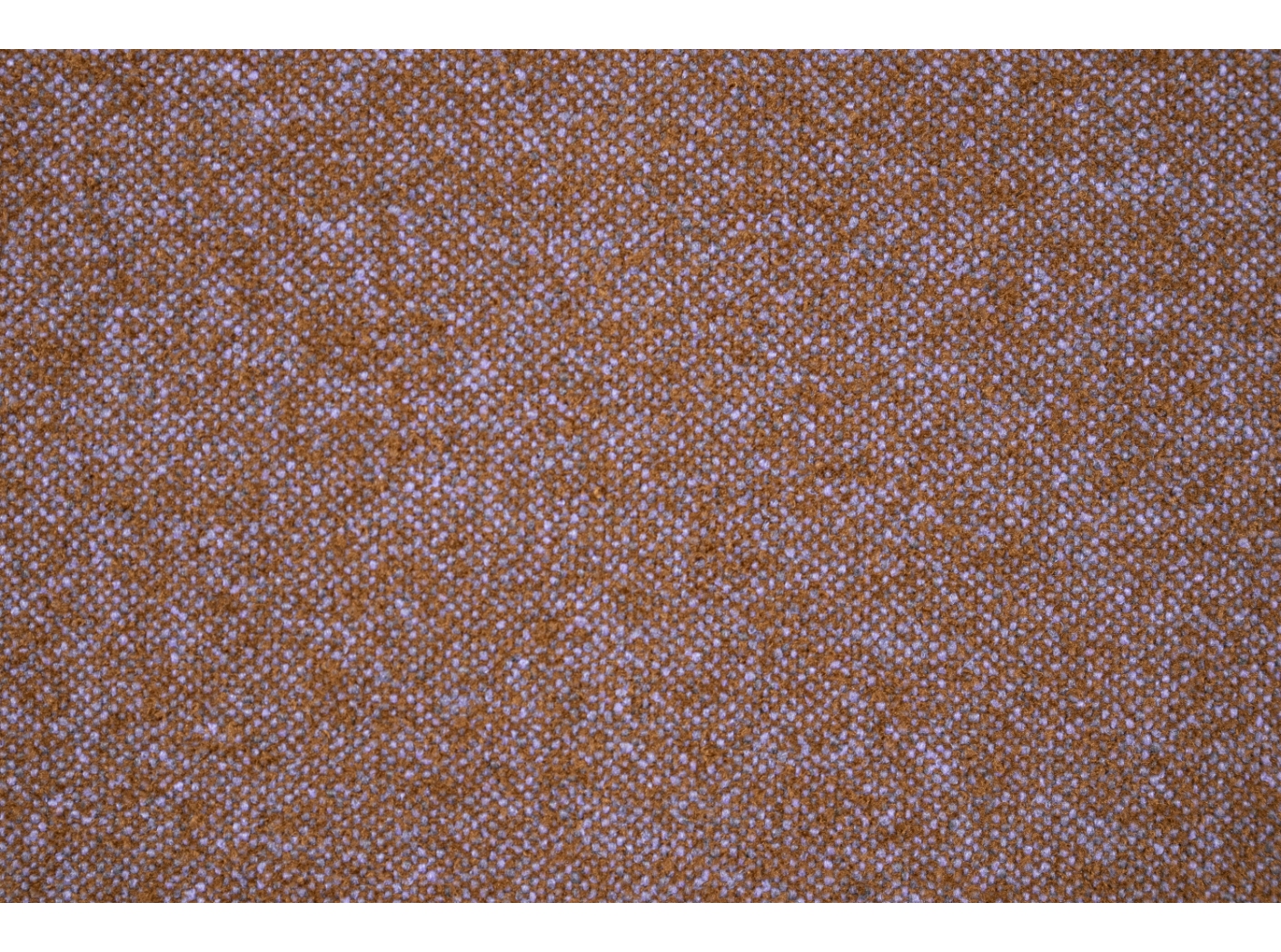 Audinys Coco 9521 Brown purple Audinys Coco 9521 Brown purple