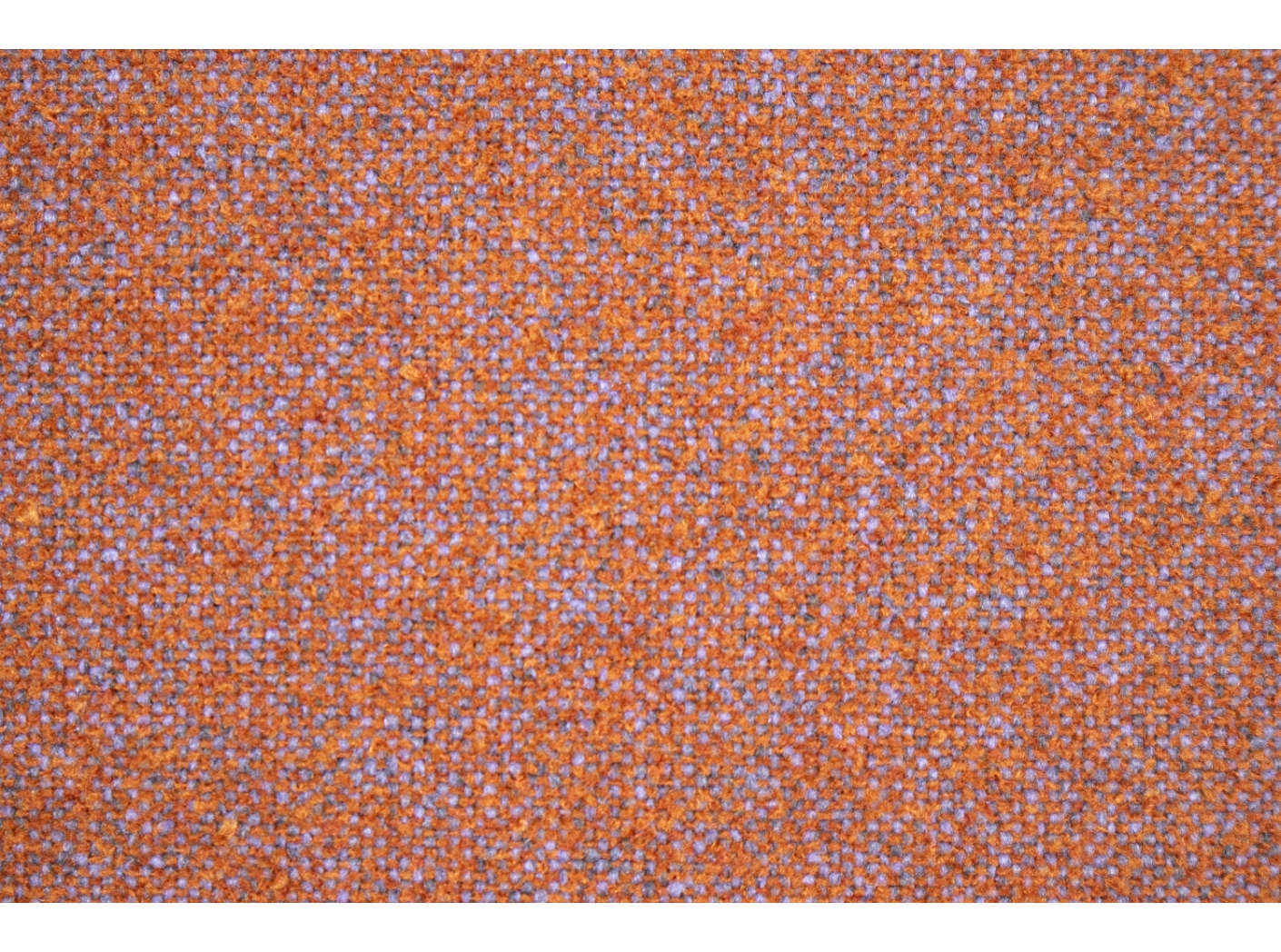Audinys Coco 9515 Rust purple Audinys Coco 9515 Rust purple