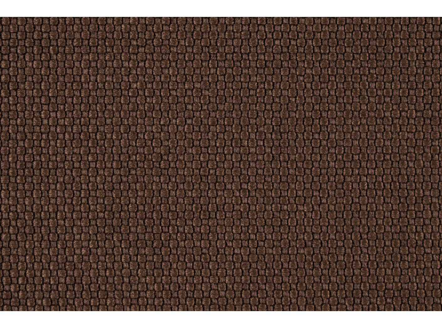 Audinys Intro CS 2022 Chocolate Audinys Intro CS 2022 Chocolate