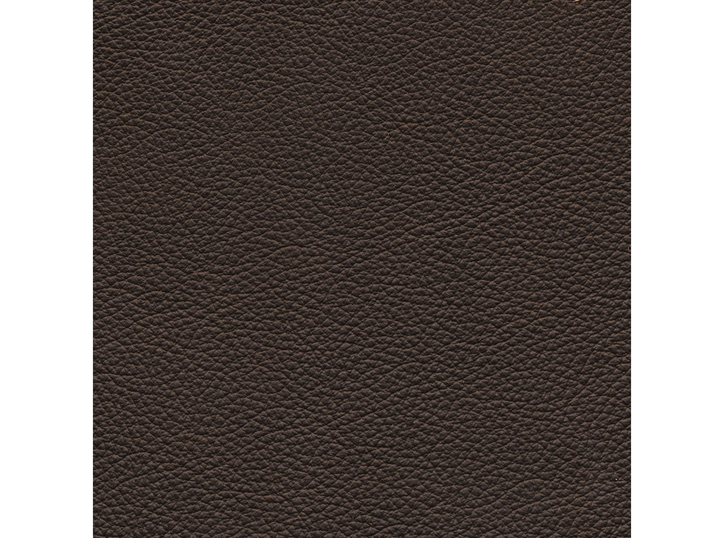 Oda Lambada Brown 02294 Oda Lambada Brown 02294