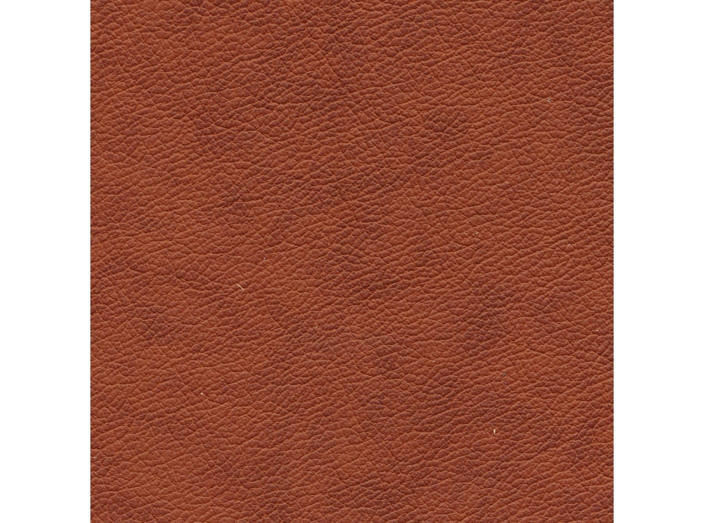 Oda Lambada Cognac 2316 Oda Lambada Cognac 2316