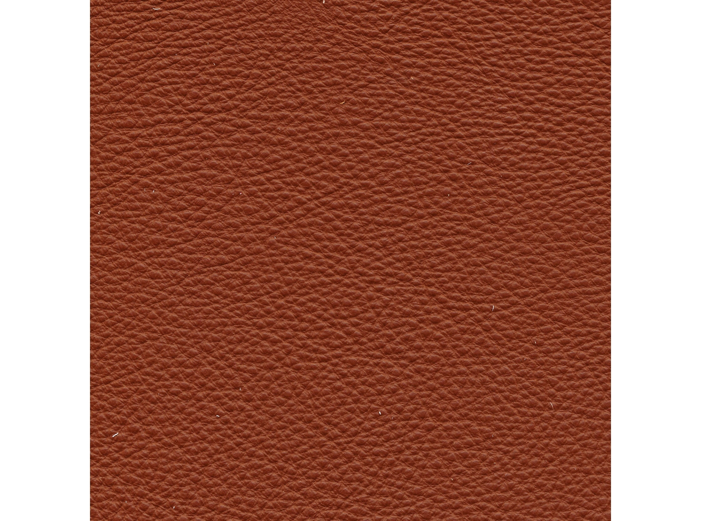 Oda Prescott SA 289 Hezelnut Oeko-Tex Oda Prescott SA 289 Hezelnut Oeko-Tex