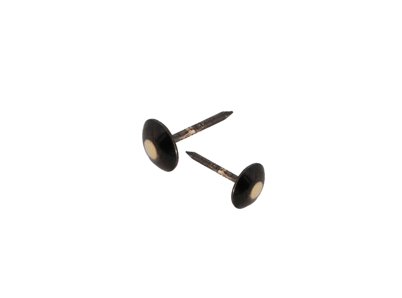 Dekoratyviniai vinukai 130 1/3 BR, Ø 11 mm Dekoratyviniai vinukai 130 1/3 BR, Ø 11 mm