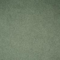 Audinys Kalama DC 1059 Hunter