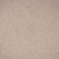 Audinys Kalama DC 1066 Latte