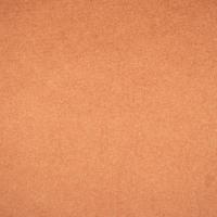 Audinys Kalama DC 1105 Salmon