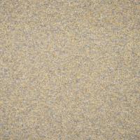 Audinys Coco 9320 Saint