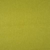 Audinys Fiesta 13 Lime