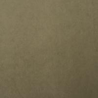 Audinys Grand Lazio Velvet 0016 Light green